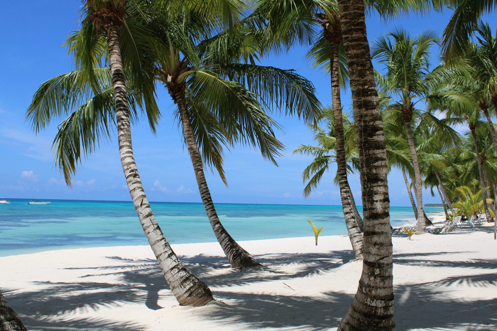 best punta cana all inclusive resorts